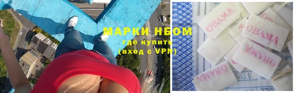 индика Алзамай