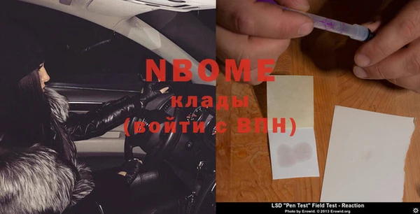 индика Алзамай