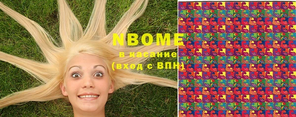 индика Алзамай