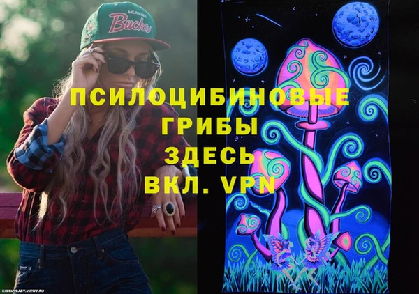 стаф Алексеевка