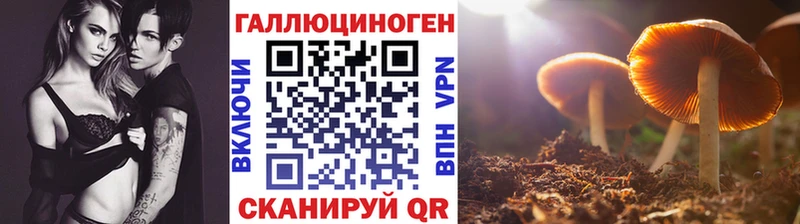 наркотики  Ноябрьск  блэк спрут вход  сайты даркнета Telegram  Псилоцибиновые грибы Psilocybine cubensis 